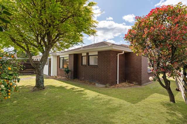 4B Ngarimu Place Mt Maunganui_1