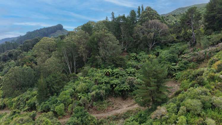 154a Takaka Hill Highway, Riwaka Motueka_12