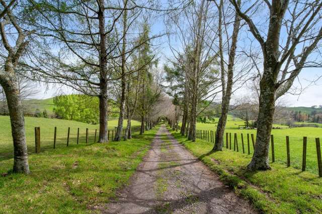 101 Te Weta Road Waikite Valley_3