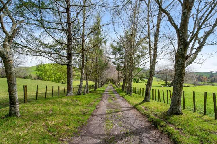 101 Te Weta Road Waikite Valley_3