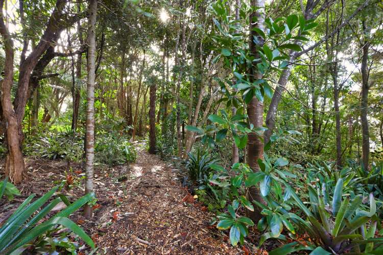 85 Old Waipu Road Mangawhai_20