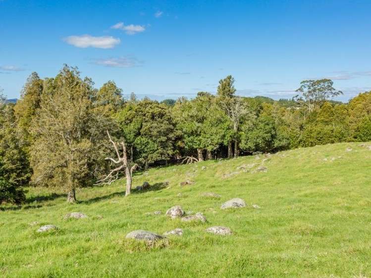 403 Te Ahu Ahu Road Waimate North_22