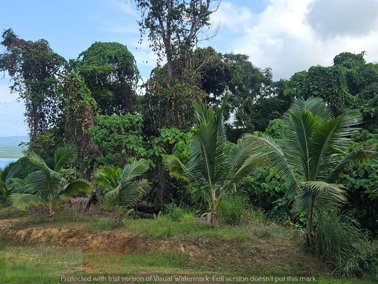 Address withheld Savusavu_20