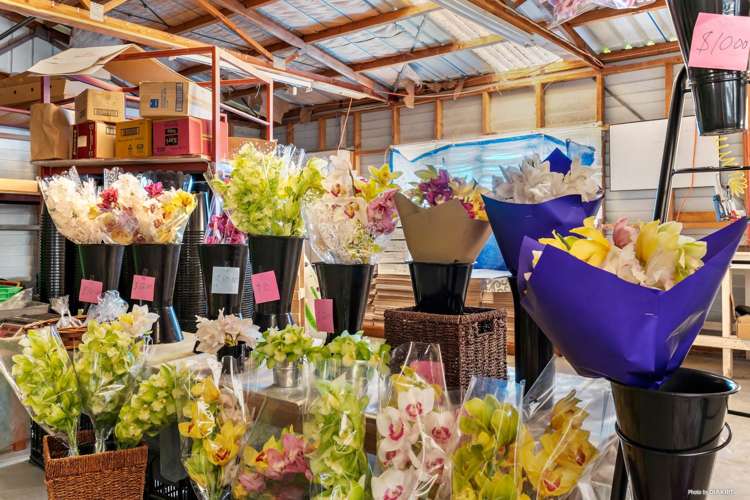 80 Orere-Matingarahi Road Orere Point_7