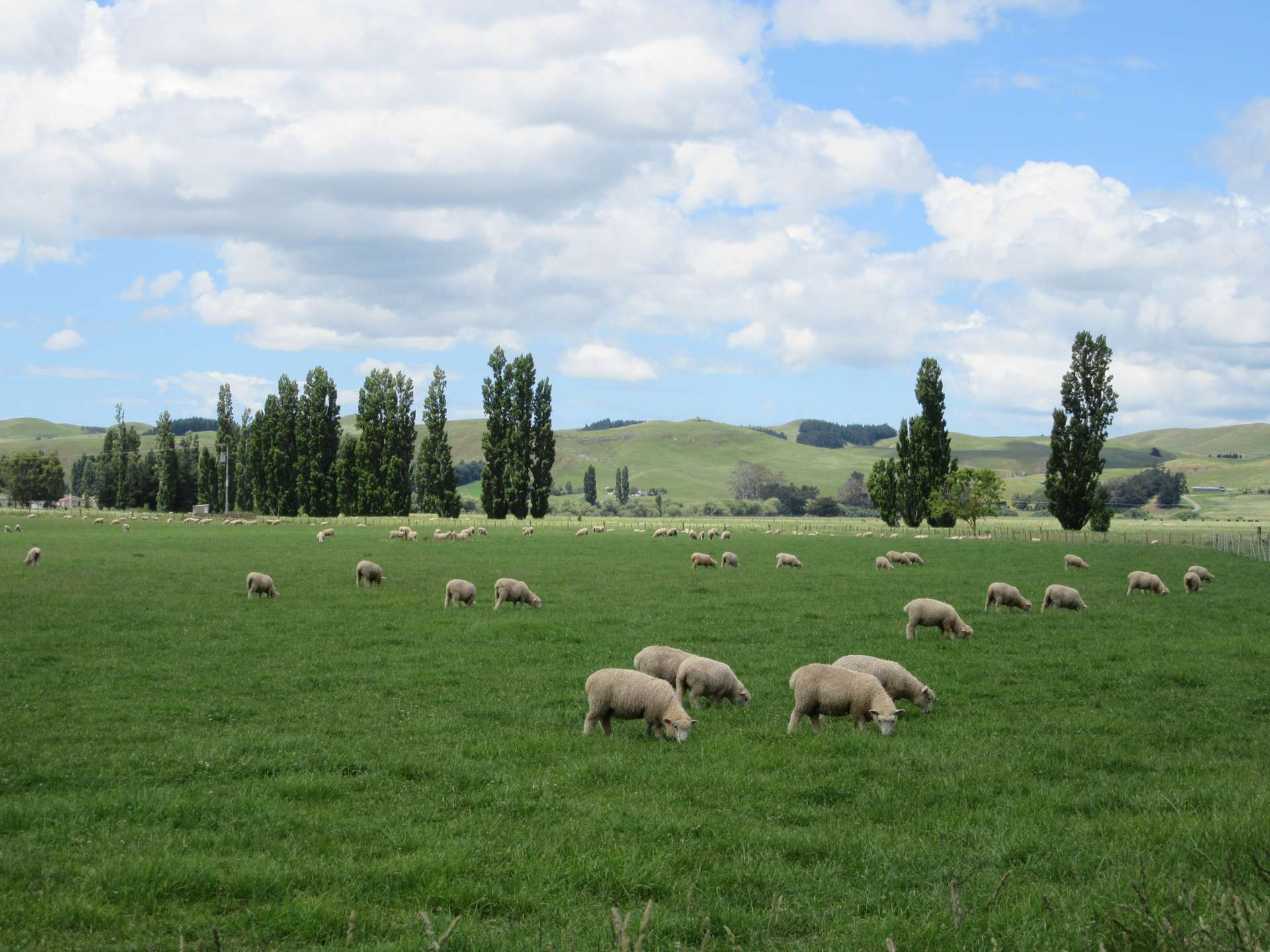 3389 State Highway 2 Takapau_0