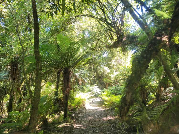 254 Doughboy Road Kokatahi_47