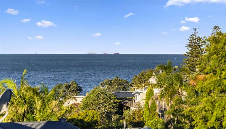 1/5 Brown Street Hauraki_7