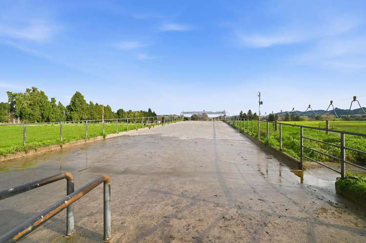 365 Halcrow Road Reporoa_5