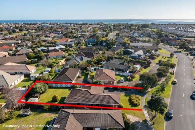 25 Hibiscus Avenue Mount Maunganui_1