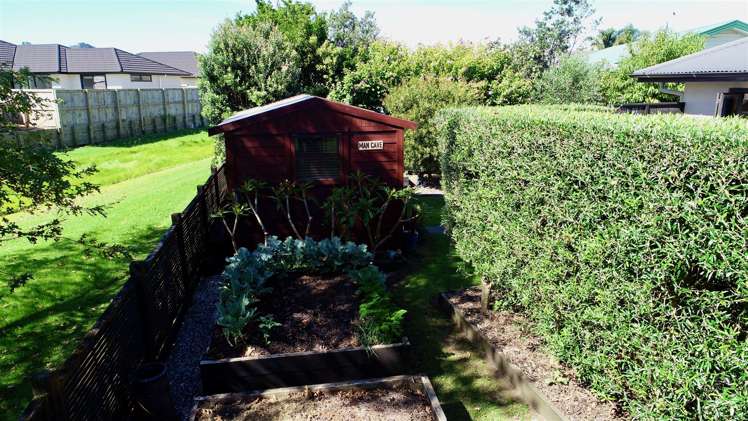 16 Protea Crescent Whitianga_6