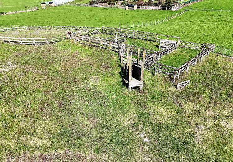 413A Baylys Coast Road Dargaville_2