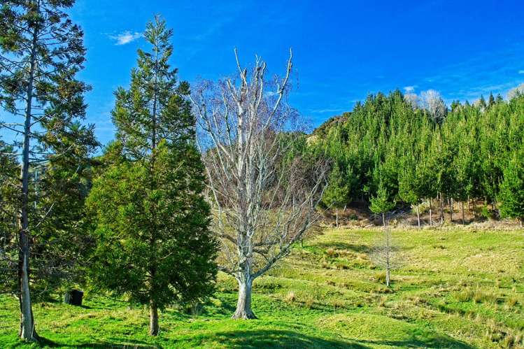 Ormond Valley Road Ormond_12