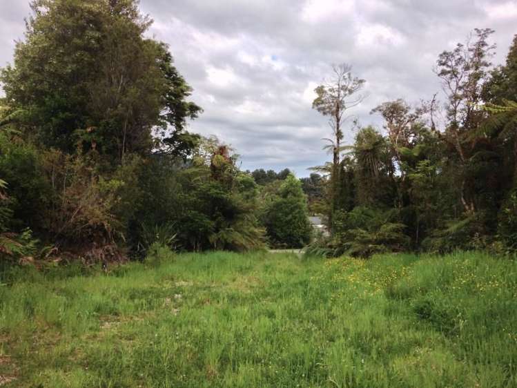 7 Punga Grove Lake Kaniere_14