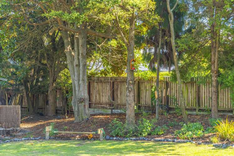 113 Taupo View Road Hilltop_23