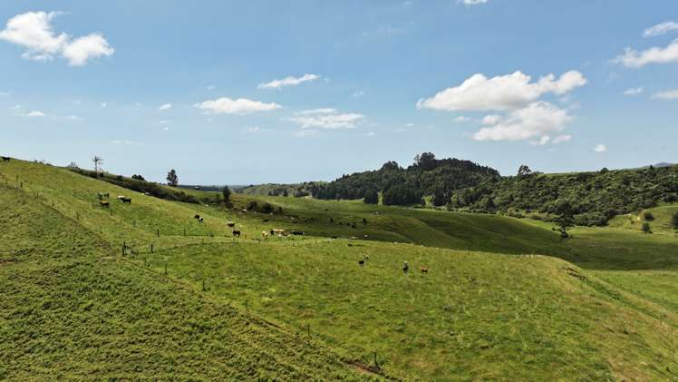 636 Otara Road Opotiki_9