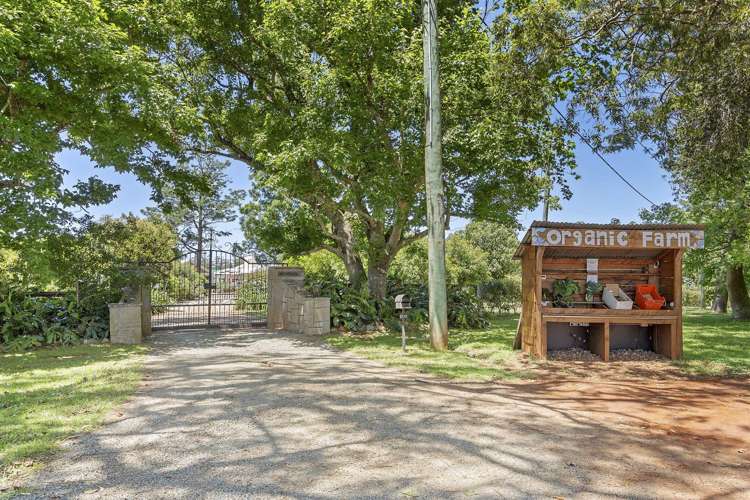 332-356 Main Western Road Tamborine Mountain_33