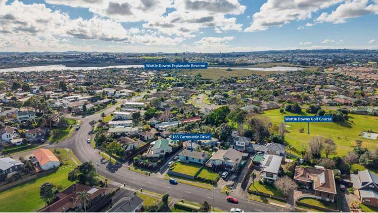 185 Carnoustie Drive Wattle Downs_12