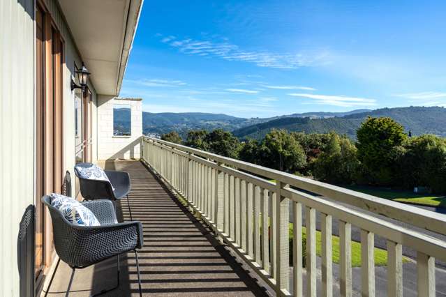 224 Larnach Road Waverley_4