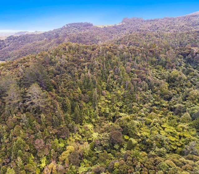 509A Old Maratoto Road Hikutaia ThamesCoromandel Rural Property