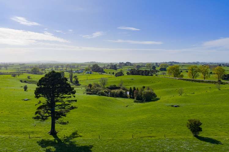 375 Waring Road Taupiri_25