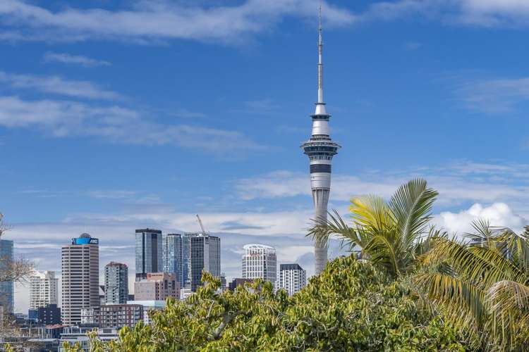 10 Gunson Street Freemans Bay_16