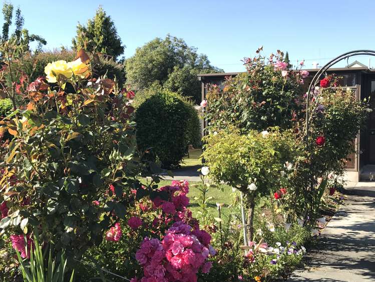 43 Afghan Street Pleasant Point_5