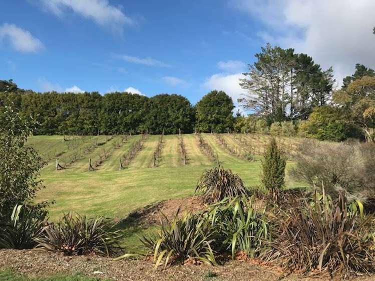 61c Rautahi Terrace Redvale_28