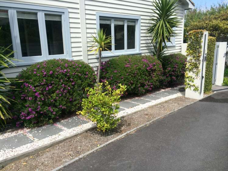 213b Oceanbeach Road Mount Maunganui_3