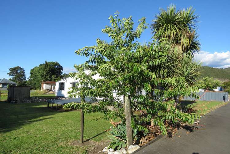 138 Broadway Reefton_14