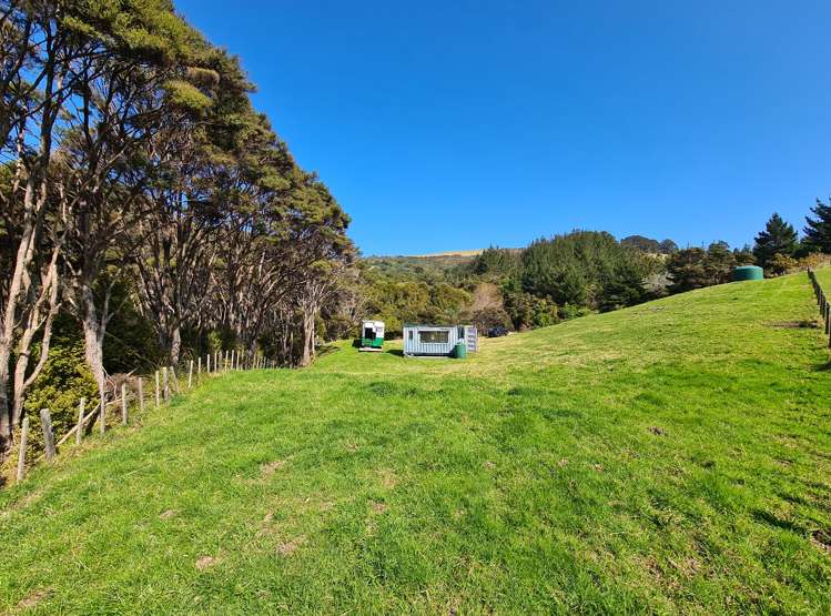 110 Wood Road, Colville Coromandel_2