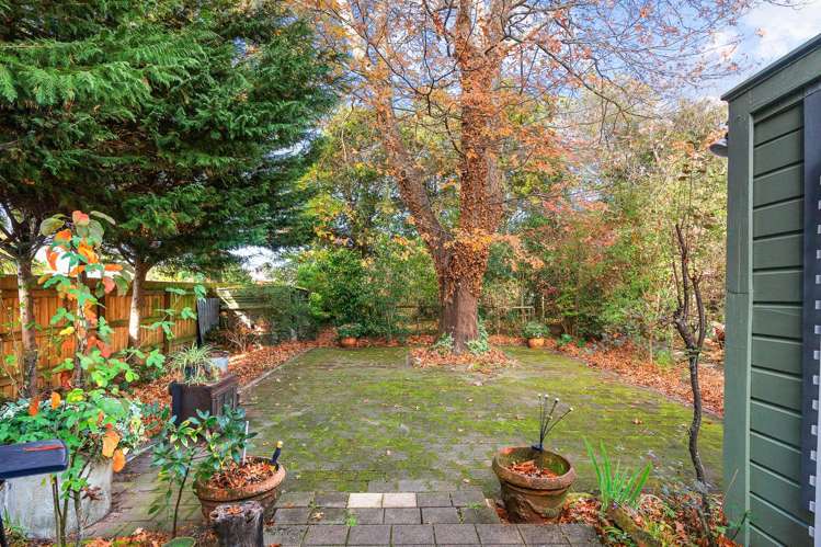 131 Main Street Greytown_16