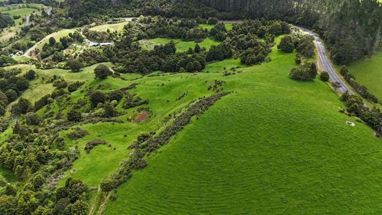 State Highway 10 Kaeo_2