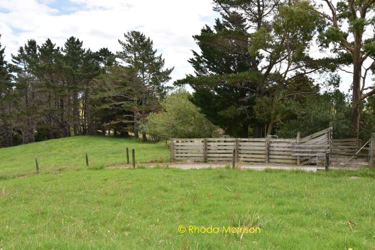 318 Franklin Road Paparoa_6