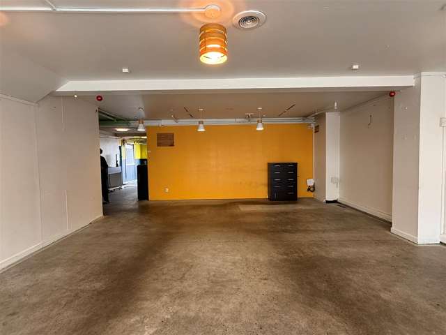 220A Riddiford Street Newtown_4