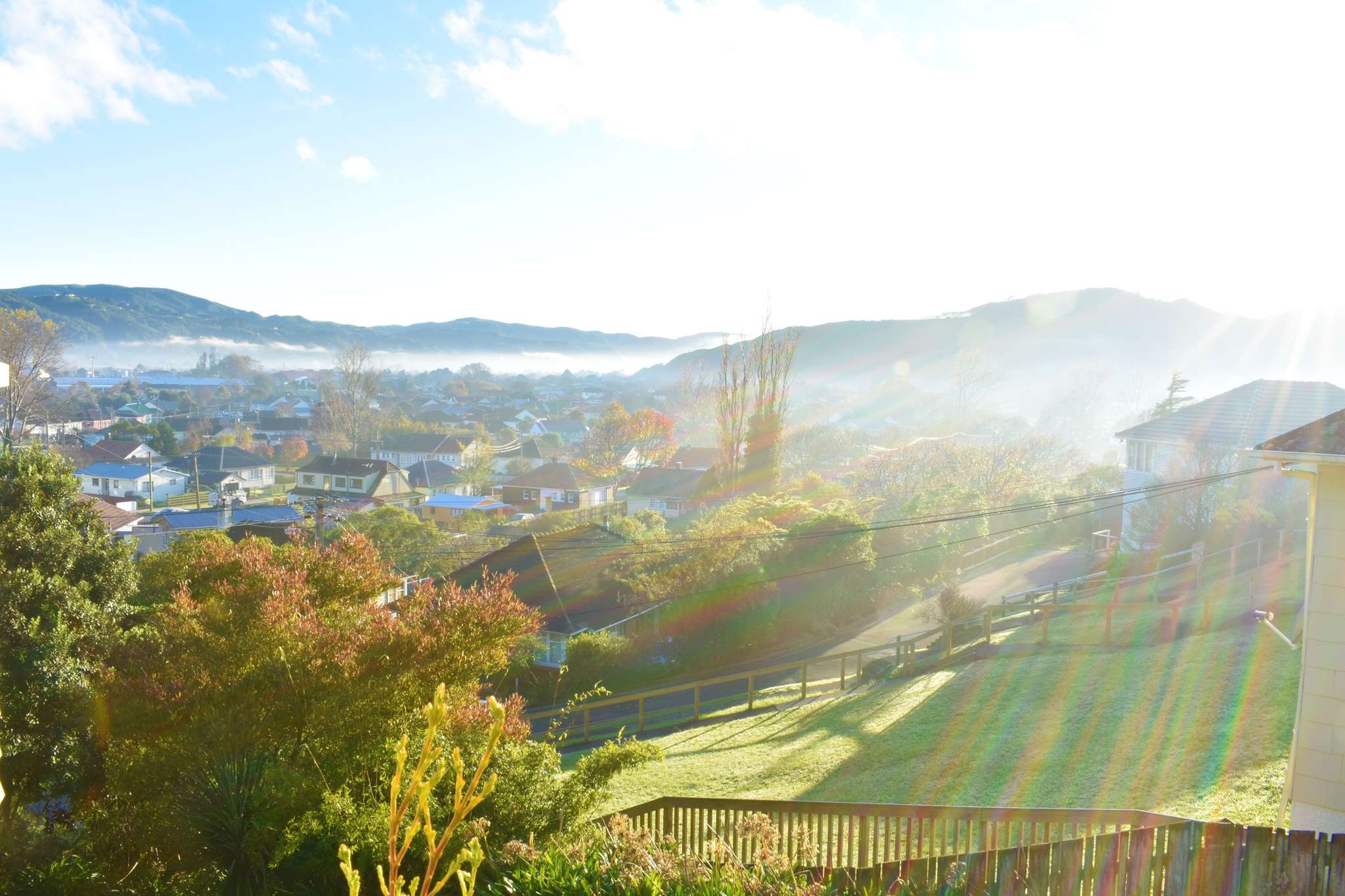 Lower Hutt - why is the region defying gravity post-Covid-19?