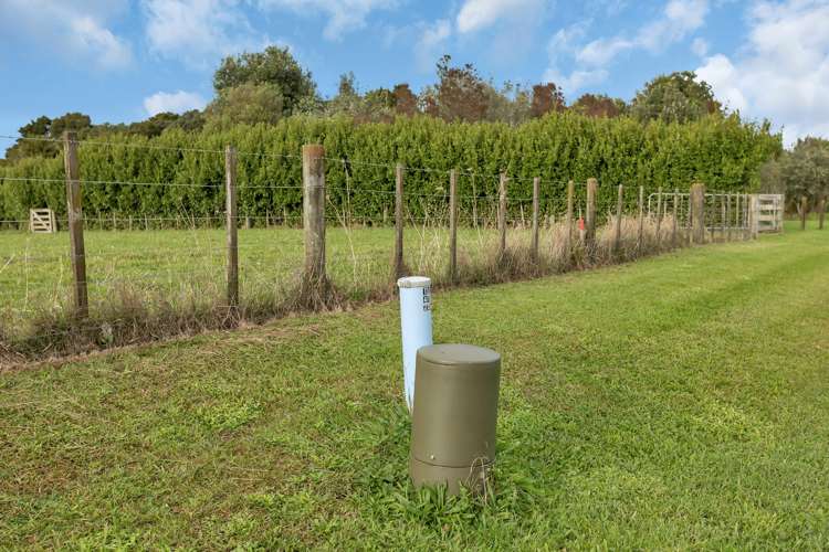 Springs Road Poroti_7