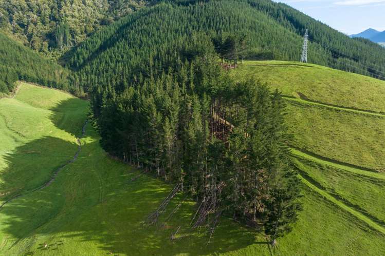 Lot 2, Maungatapu Road Pelorus Bridge_19