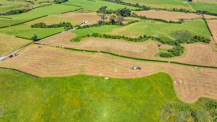 Upland Road Egmont Village_6