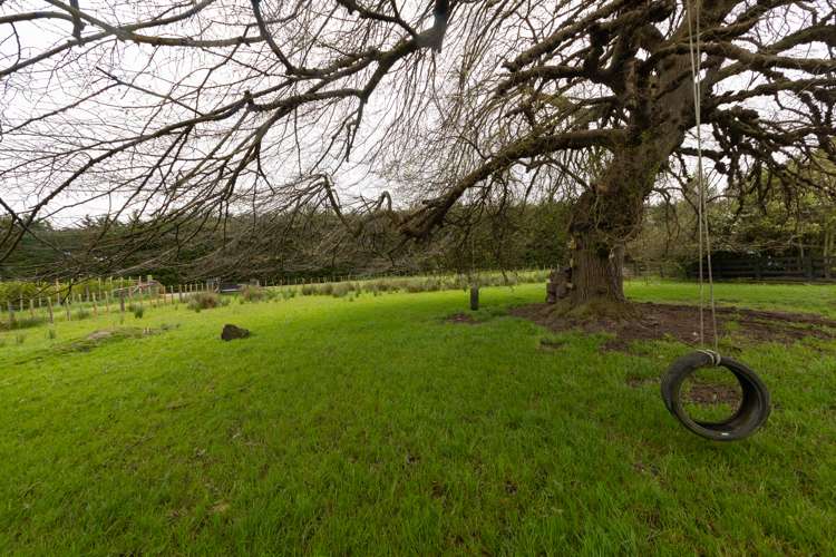 76 Watershed Road Bunnythorpe_25