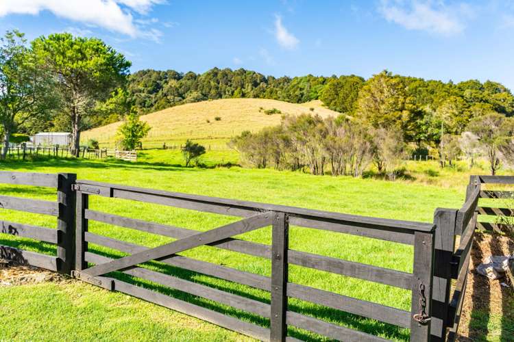 228 Harris Road Glenbervie_24