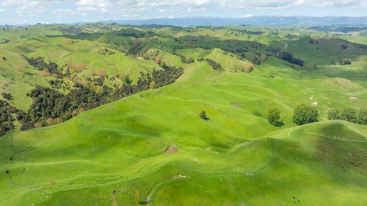 1163 Mangamako Road Ohingaiti_12