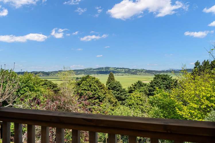 332 Crane Road Kauri_1