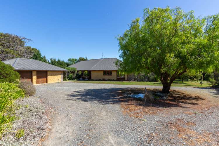 140 Neal Road Spring Creek_20