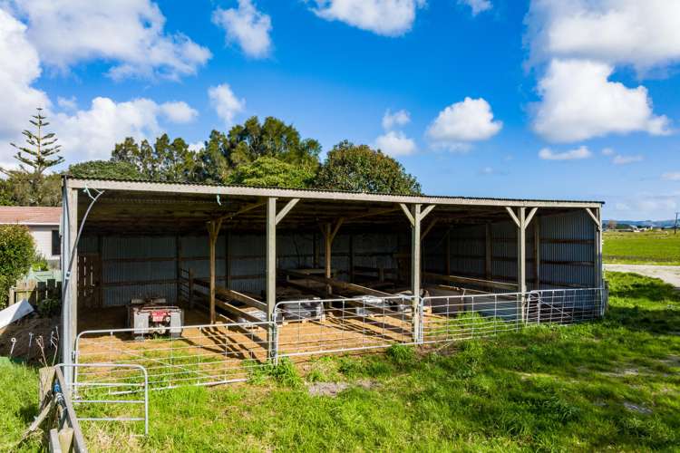647 Te Kowhai Road Ruawai_9