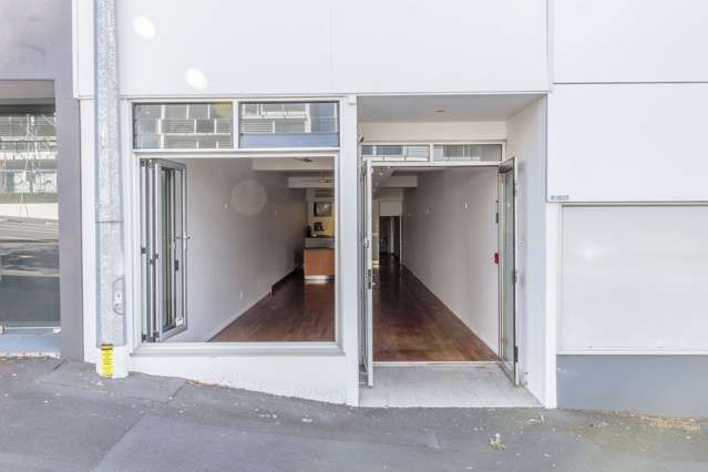 25 College Hill Freemans Bay_1