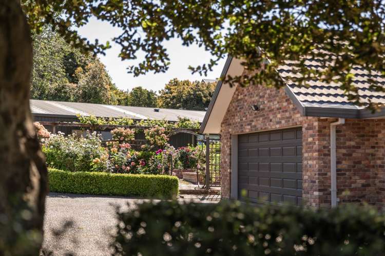 43 Waikaraka Drive West Te Puna_6