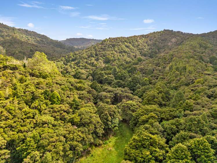 OWHIWA ROAD ONERAHI Onerahi_8