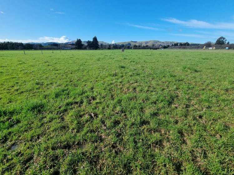 189 Homeview Road Cheviot_6