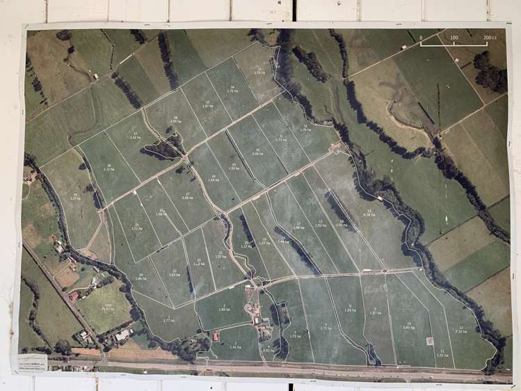 2442 Mountain Road Tariki_13