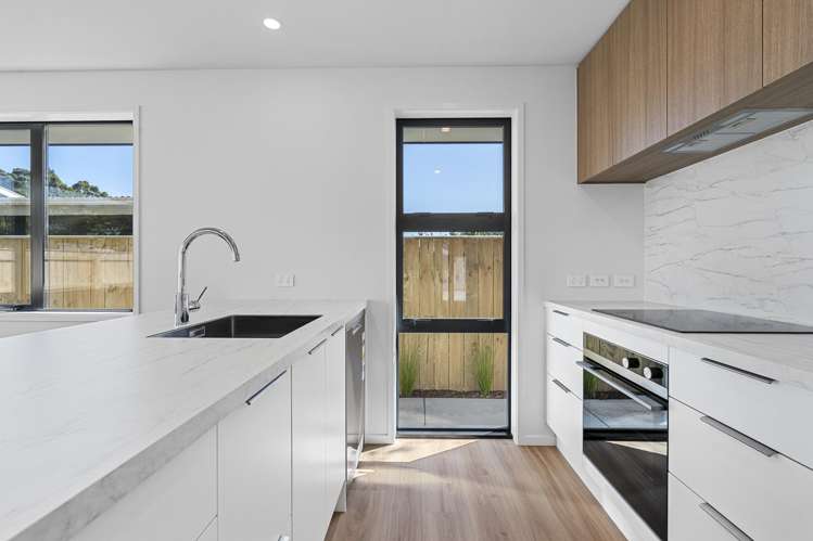 45A Princess Street Waitara_9